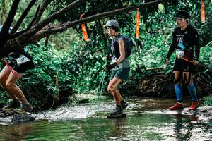 BIB: 
                            <button type="button" onclick="openModal(25269676)" class="btn btn-primary btn-sm float-right btn-popup" data-toggle="modal" data-target=".modal-high-quality">
                        <i class="fas fa-shopping-cart"></i> Add to Cart
                    </button>
                                            <button type="button" onclick="isThisMe(25269676, true)" class="btn btn-success btn-sm float-right btn-popup btn-isme hidden" data-toggle="tooltip" data-placement="bottom" title="นี่คือรูปของคุณใช่ไหม คลิกที่นี่เพื่อเอาเข้าอัลบั้ม">
                        <i class="fas fa-plus"></i> Add to album
                    </button>
                    <button type="button" onclick="isThisMe(25269676, false)" class="btn btn-warning btn-sm float-right btn-popup btn-isnotme hidden">
                        <i class="fas fa-ban"></i> Remove from album
                    </button>